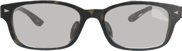 Front elevation of the modelled frame